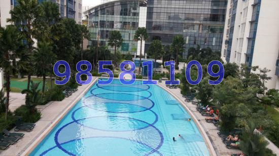 City Square Residences (D8), Condominium #41375502